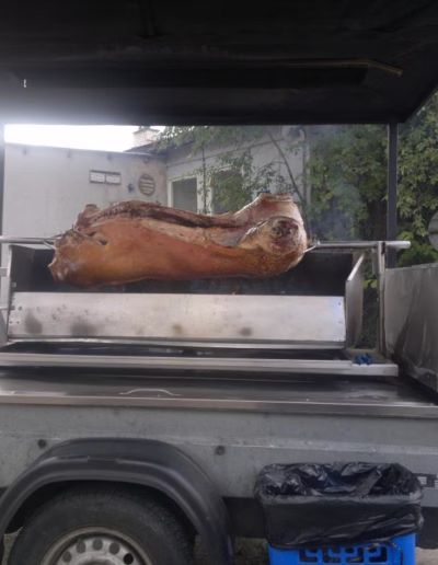 Catering - prase na rožni