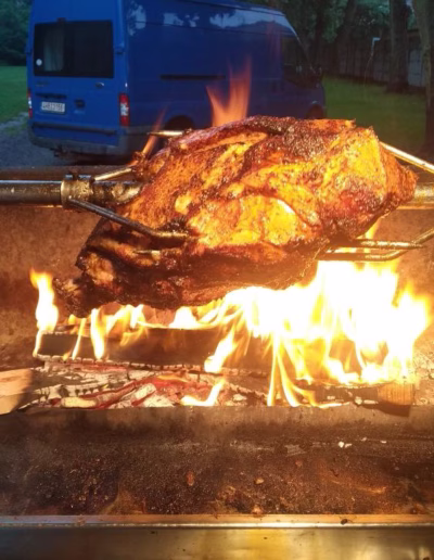 Catering - prase na rožni